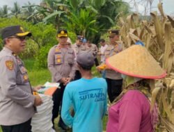 Sukseskan Swasembada Jagung, Polres Musi Rawas Bersama Polsek Purwodadi Gelar Bimbingan Penyuluhan di Lahan Jagung di Desa Rejosari