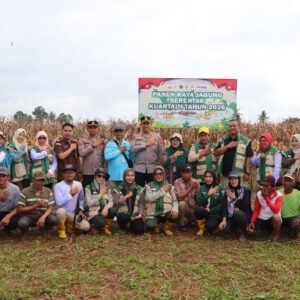 Panen Raya Jagung Kuartal IV 2025 di Desa Suro